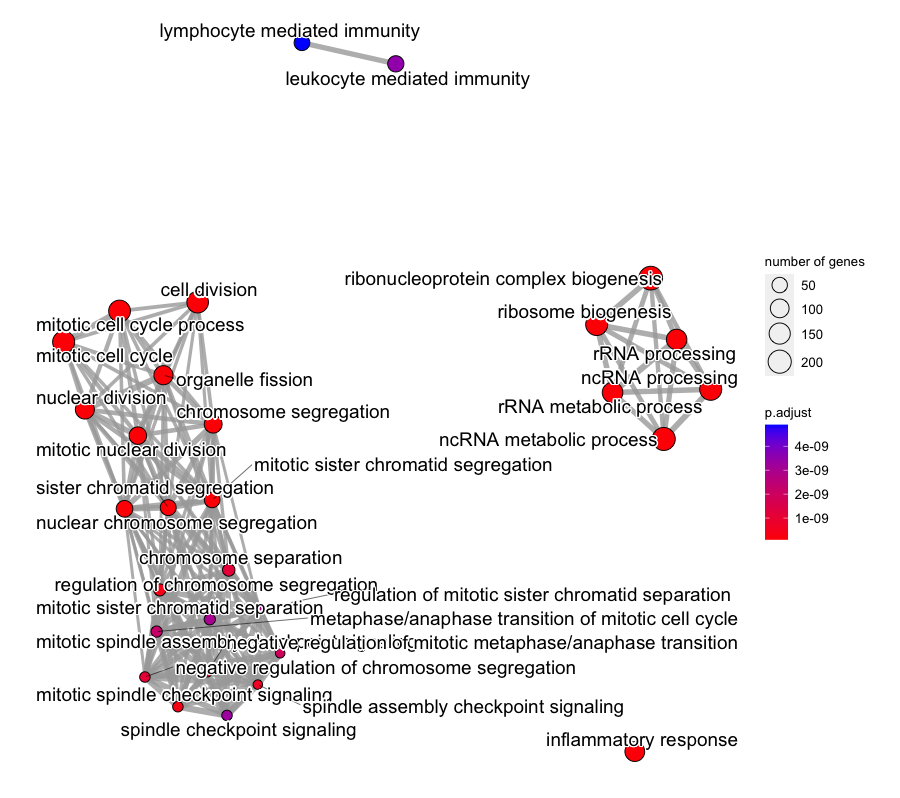 Enrichment map of the top significantly enriched GO terms amongst the differentially expressed genes from our basalpregnant vs. pregnantlactate comparison.