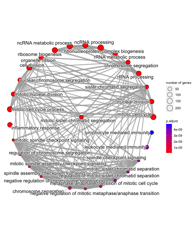 Enrichment map of the top significantly enriched GO terms amongst the differentially expressed genes from our basalpregnant vs. pregnantlactate comparison, with a `star` layout.