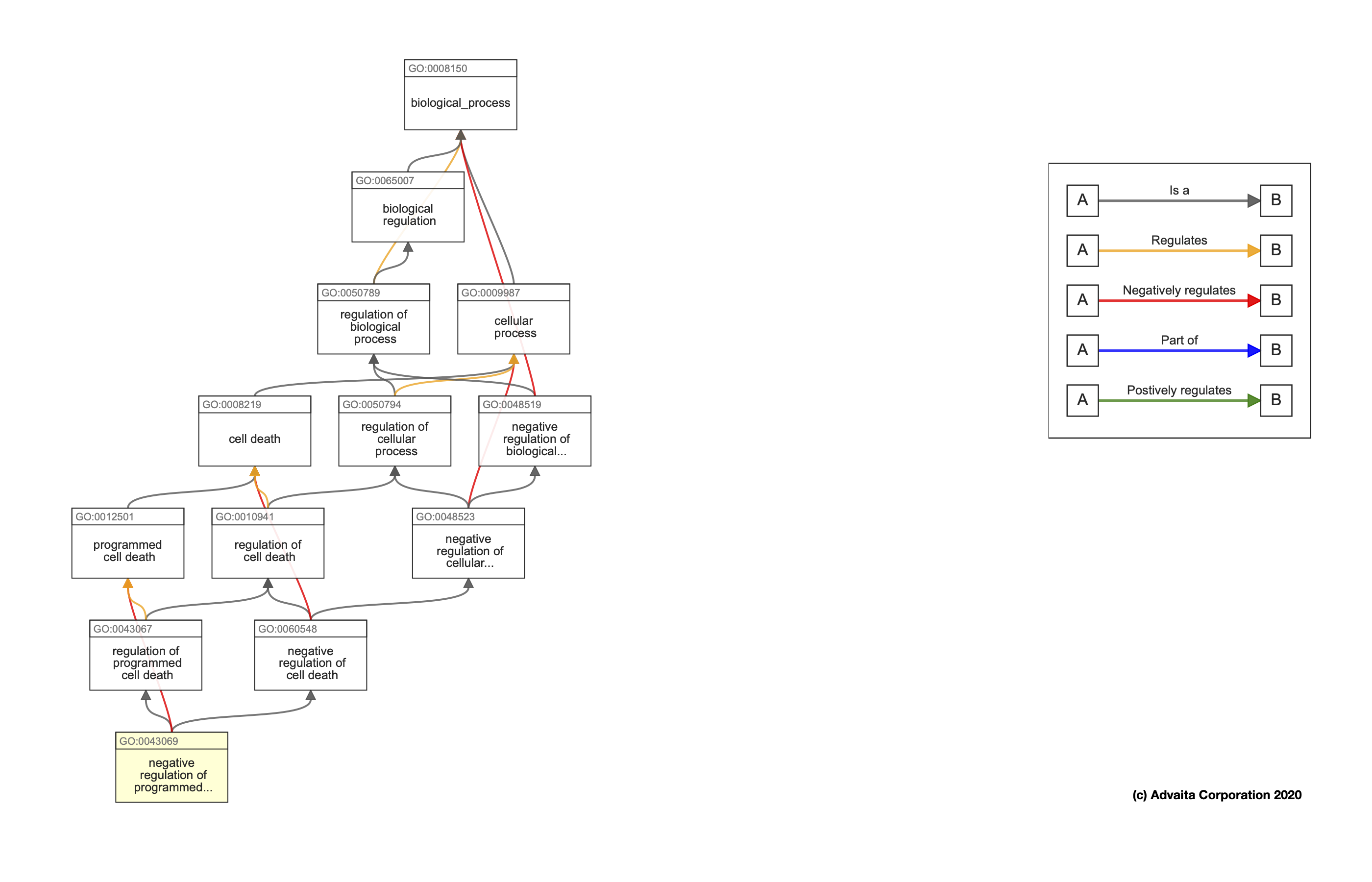 Example GO term hierarchy and list of relationships