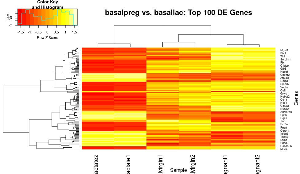 scaling heatmap by gene expression